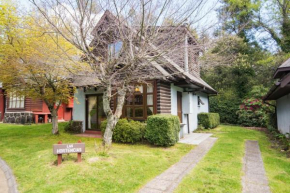 Hermosa y acogedora Casa en Pucón